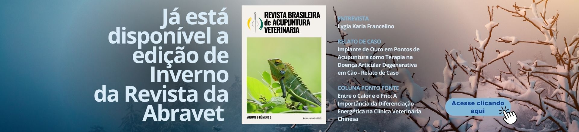 Revista Abravet Inverno 2025